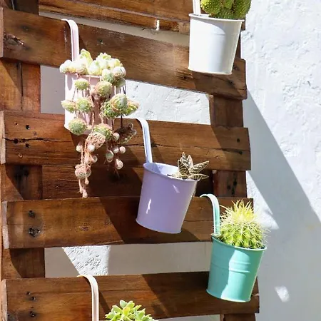 Lägenhet El Patio De Naranjos Guadalupe (Extremadura)