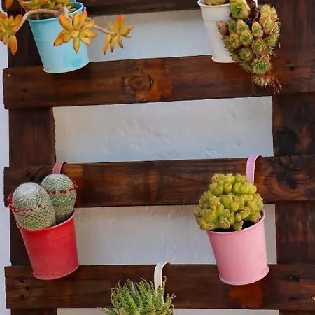 Lägenhet El Patio De Naranjos