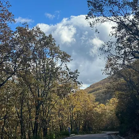 El Patio De Naranjos *