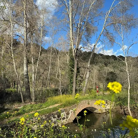 El Patio De Naranjos * Guadalupe (Extremadura)