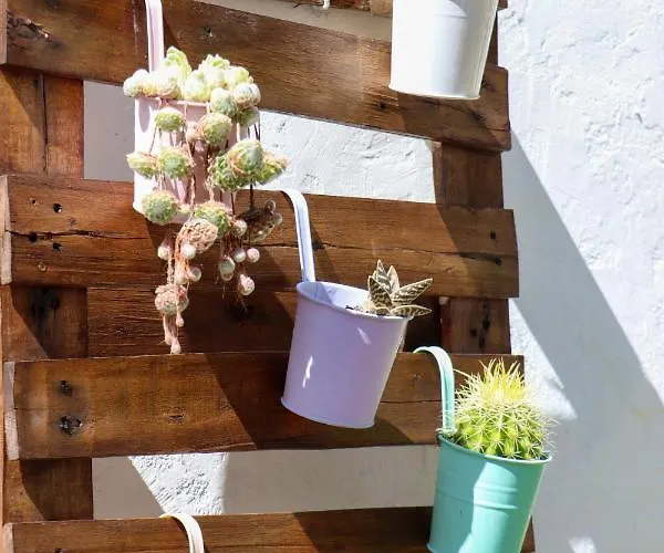 Apartamento El Patio De Naranjos Guadalupe (Extremadura)