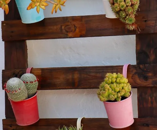 Apartamento El Patio De Naranjos