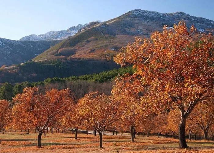 El Patio De Naranjos Apartamento Guadalupe (Extremadura)