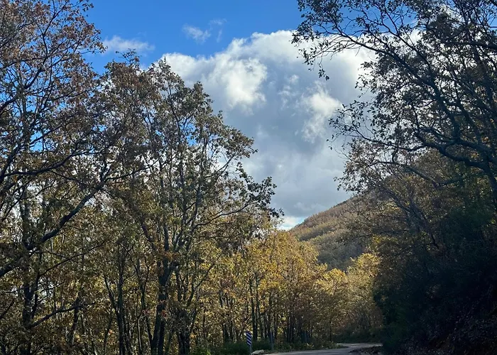 El Patio De Naranjos *