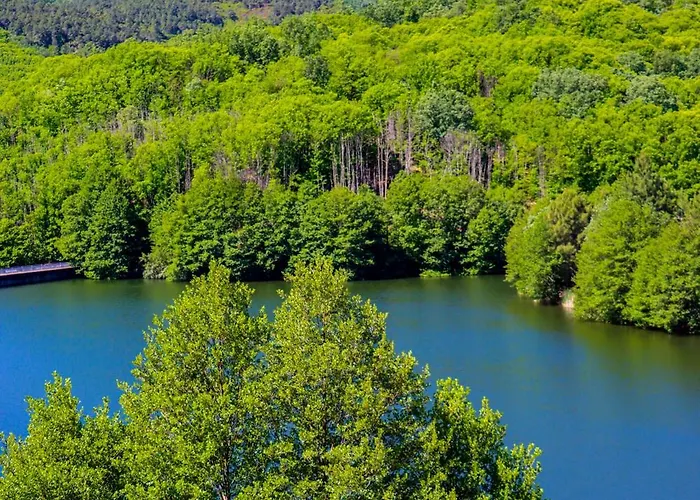 El Patio De Naranjos