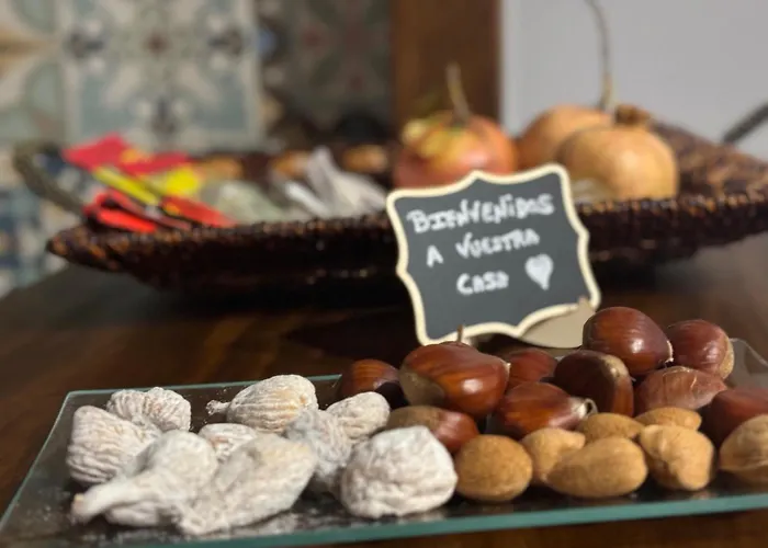 El Patio De Naranjos