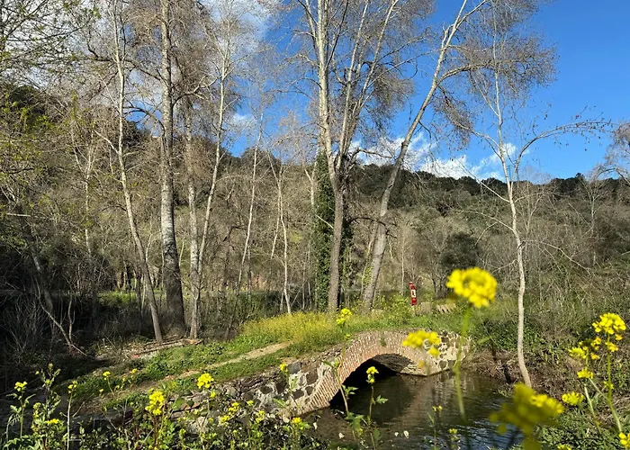 El Patio De Naranjos * Guadalupe (Extremadura)